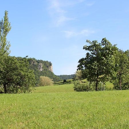 Domaine De Bellevue Gite Du Mont Poupet Marnoz 외부 사진