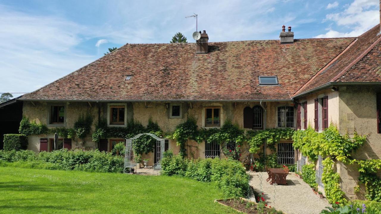 Domaine De Bellevue Gite Du Mont Poupet Marnoz 외부 사진