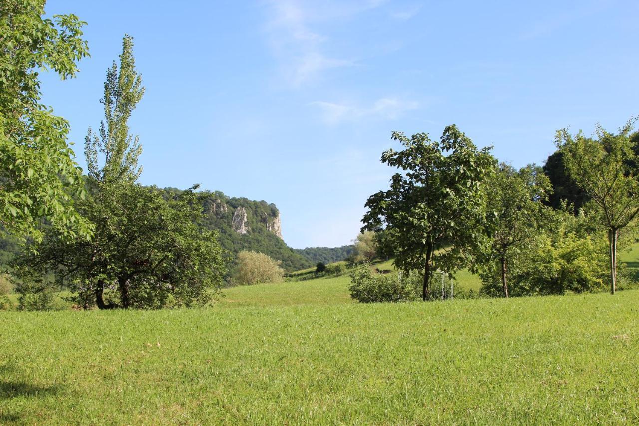 Domaine De Bellevue Gite Du Mont Poupet Marnoz 외부 사진